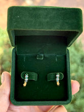 Load image into Gallery viewer, So Wicked Earrings
