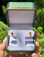 Load image into Gallery viewer, Citrus Studs
