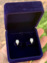 Load image into Gallery viewer, Fire Opal Studs
