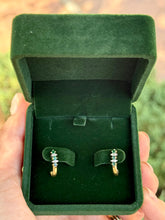 Load image into Gallery viewer, So Wicked Earrings
