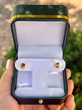 Load image into Gallery viewer, Citrus Studs
