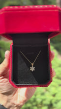Load and play video in Gallery viewer, Flower of Diamonds Necklace
